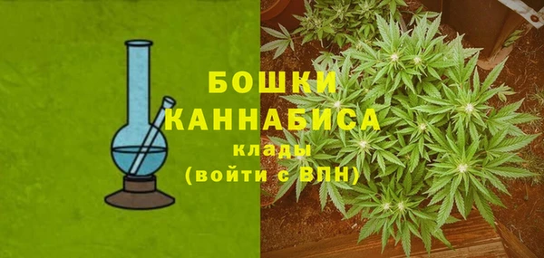 спиды Богданович